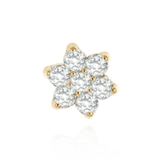 14K Gold Round Seven Stone Cluster Earrings with Push Post