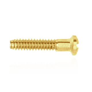 Replacement Screws for Coin Frame