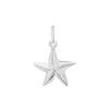 Starfish Charm in Sterling Silver (20 x 14mm)