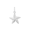 Starfish Charm (20 x 14mm)