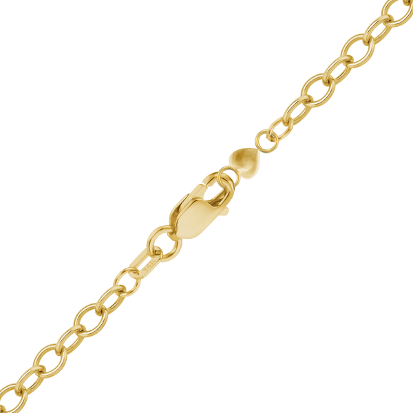 Maxco's CLR Chain in 14K Yellow Gold