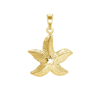 Star on Starfish Charm in Sterling Silver (37 x 28mm)