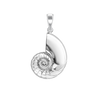 Conch Shell Charm in Sterling Silver (33 x 17mm)