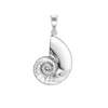 Conch Shell Charm (33 x 17mm)