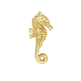 Seahorse Charm in Sterling Silver (28 x 12mm)