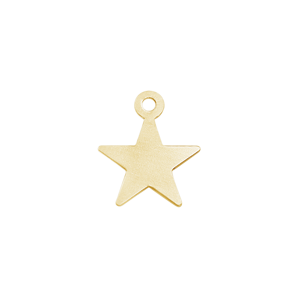 Star Charm in Gold-Filled