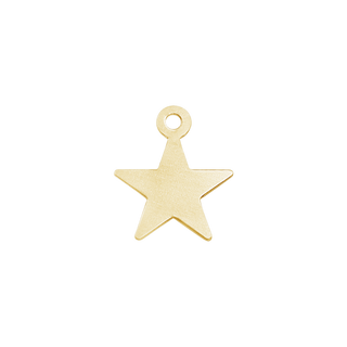 Star Charm in Gold-Filled