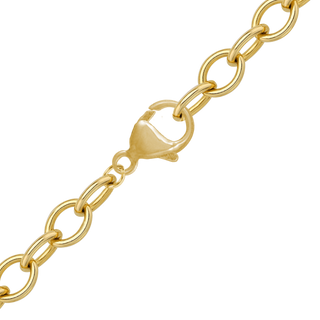 Carolina's 5.6 mm CLR Chain with Jump Rings in 14K Yellow Gold