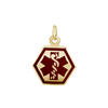 Medical Alert Charm in Sterling Silver (3/8 inch - 1 inch)