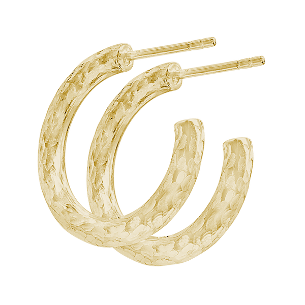 Jane Dua's HEPT Hoop Earrings in 14K Yellow Gold