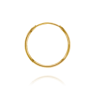 Endless Hoop Earring in Gold Filled