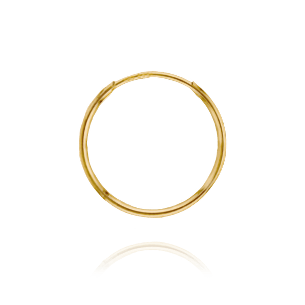 Endless Hoop Earring in Gold Filled