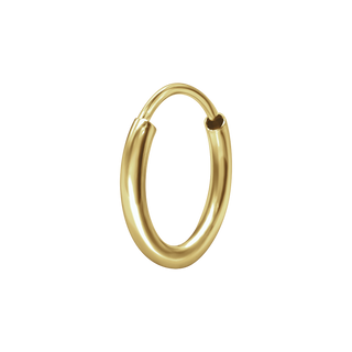 Endless Hoop Earring in 14K Yellow Gold