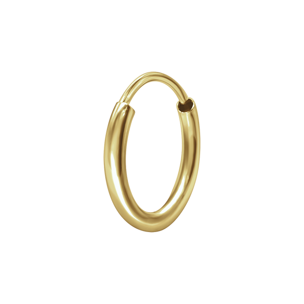 Endless Hoop Earring in Gold Filled