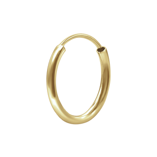 Endless Hoop Earring in Gold Filled