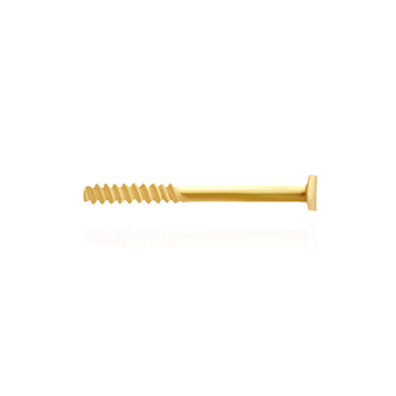 Push On Thread Off (Screw) Ear Post (.030" x 3/8")