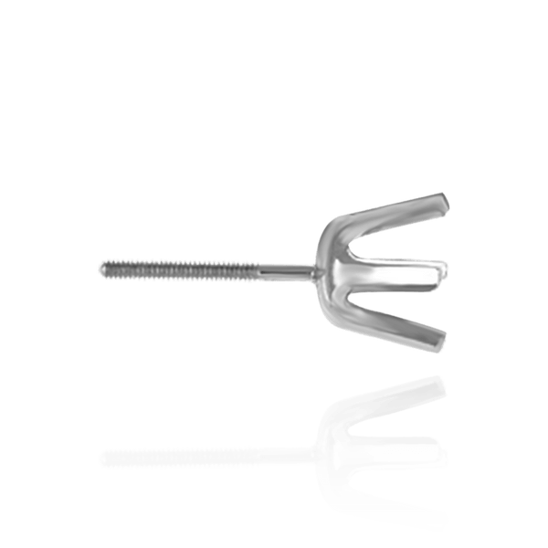 Round Six Prong Earrings with Screw Post