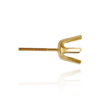 14K Gold Round Six Prong Earrings with Screw Post