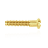Replacement Screws for Coin Frame