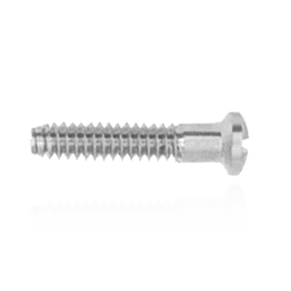 Replacement Screws for Coin Frame