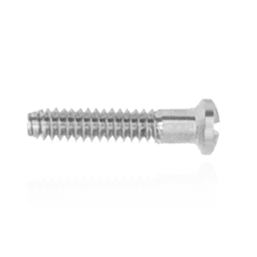 Replacement Screws for Coin Frame