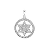 Sterling Silver Star of David Medallion (24 x 18 mm)