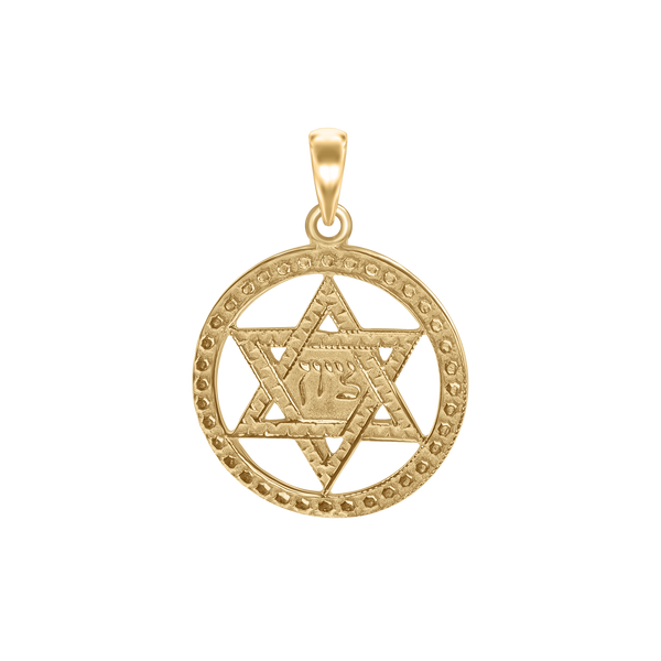 Sterling Silver Star of David Medallion (24 x 18 mm)