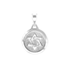 Sterling Silver Star of David Medallion (23 x 17 mm)