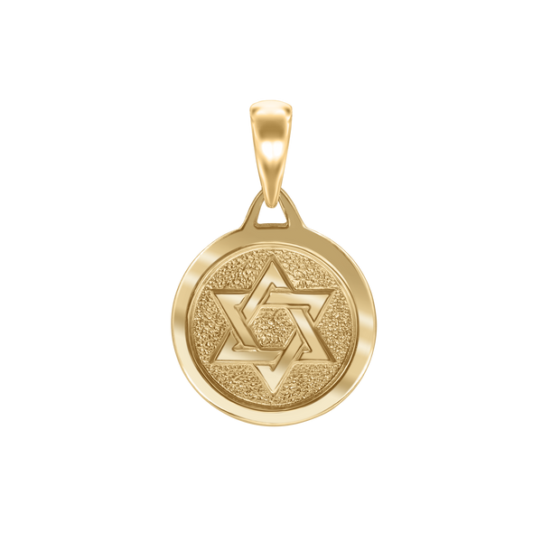 Sterling Silver Star of David Medallion (23 x 17 mm)