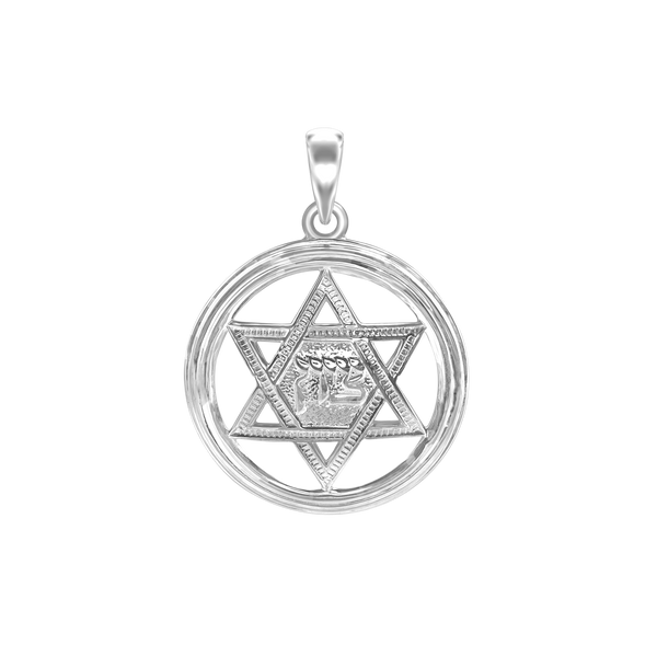 Sterling Silver Star of David Medallion (29 x 22 mm)