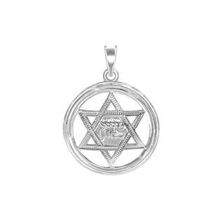 Sterling Silver Star of David Medallion (29 x 22 mm)