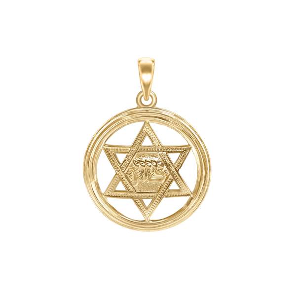 Sterling Silver Star of David Medallion (29 x 22 mm)