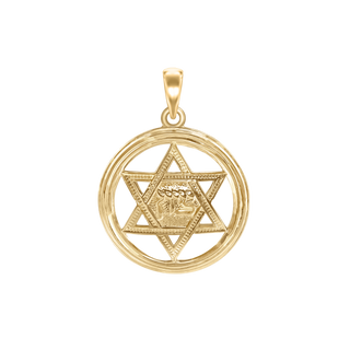 Sterling Silver Star of David Medallion (29 x 22 mm)