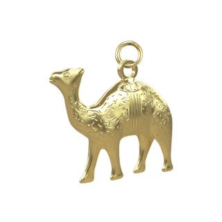 Camels