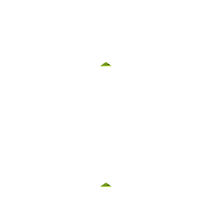 Pear Shape Peridot - August Birthstones