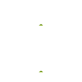 Pear Shape Peridot - August Birthstones