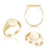 Oval (Vertical) Signet Rings in 14K Yellow Gold (6 x 4 mm - 20 x 18 mm)