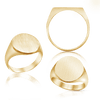 Oval (Vertical) Signet Rings in 14K Yellow Gold (6 x 4 mm - 20 x 18 mm)