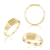 Rectangular Signet Rings in 14K Yellow Gold (10 x 6 mm)