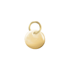 14K Yellow Gold Round Disc Pendant with Hole