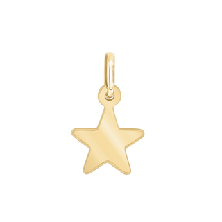 Star Trim/Charm