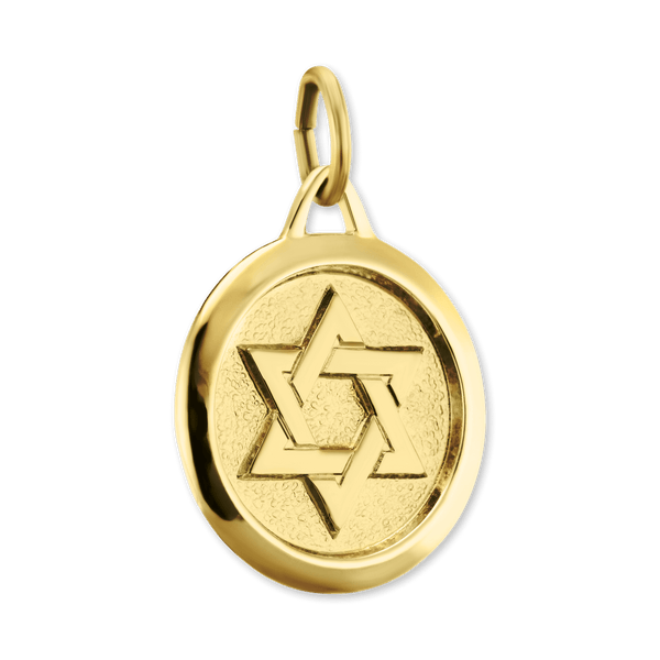 14K Gold Star of David in Circle Pendant (25 x 17 mm)