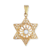 Sterling Silver Star of David Pendant with Cubic Zirconia (23 x 14 mm)