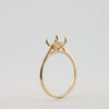 Video image preview for Oval 4 Prong Basket Solitaire
