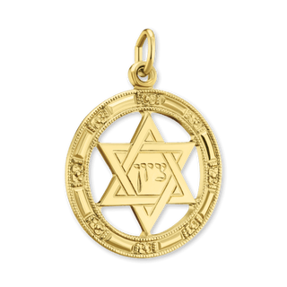 14K Gold Star of David in Circle Pendant (25 x 17 mm)