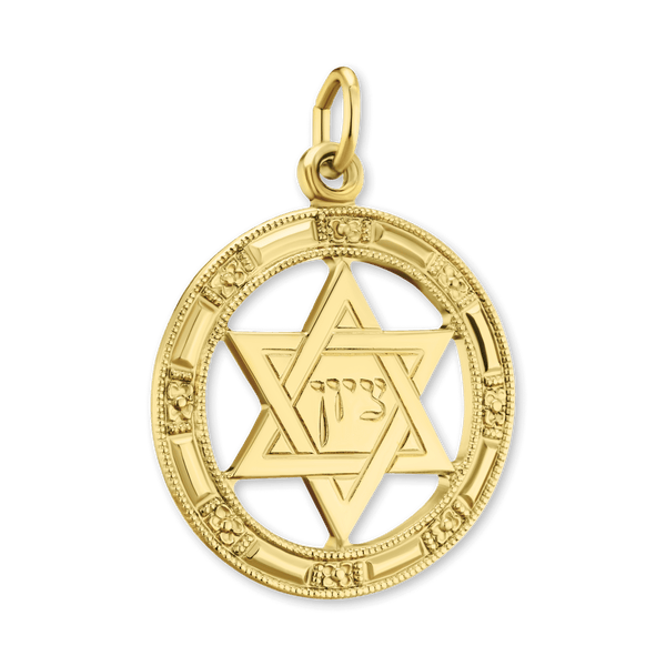 14K Gold Star of David in Circle Pendant (25 x 17 mm)