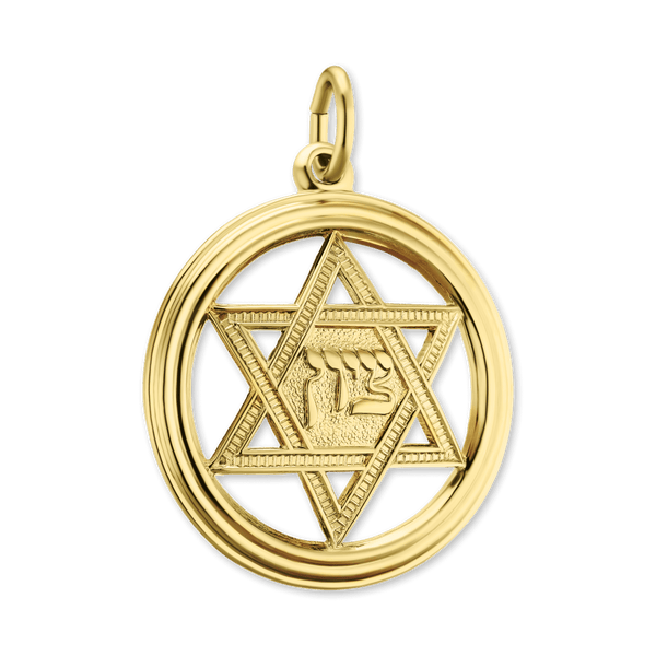 14K Gold Star of David in Circle Pendant (29 x 22 mm)