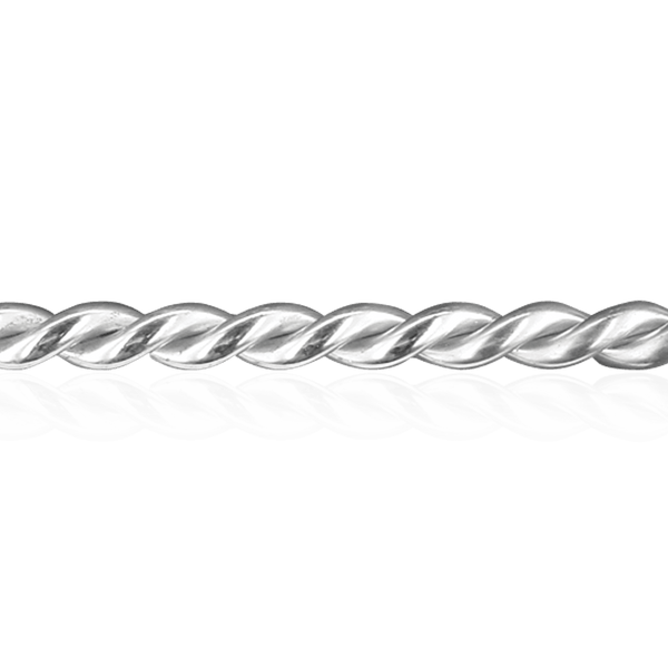 Sterling Silver (17" Long) Twist Soft Wire WPDTW5