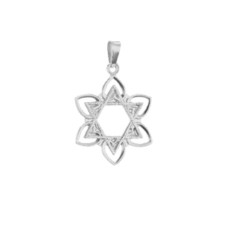 14K Gold Star of David with Flower Pendant (20 mm)