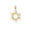 14K Gold Star of David with Flower Pendant (20 mm)